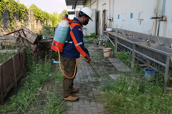 jasa fumigasi dan pest control semarang demak kendal ungaran ambarawa magelang jawa tengah 07