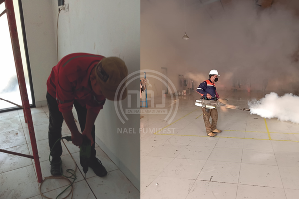 jasa basmi rayap dan fogging basmi nyamuk profesional untuk rumah dan usaha 01