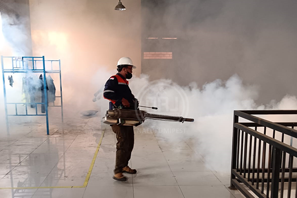 jasa fogging nyamuk murah solusi efektif lindungi keluarga dari ancaman dbd 25